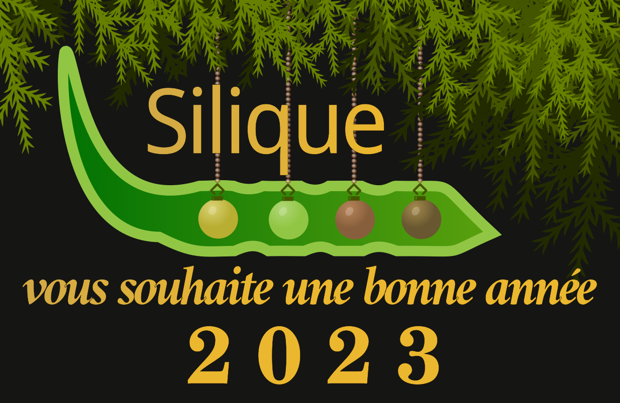 Silique vous souhaite une bonne année 2023