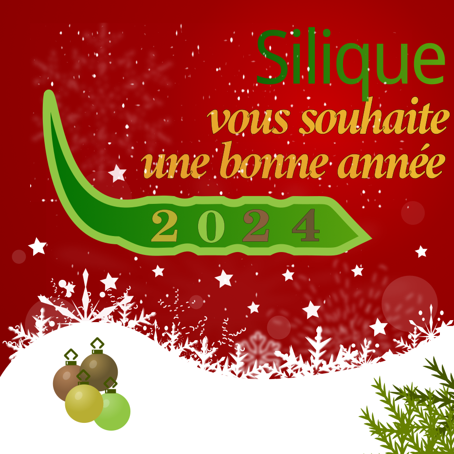 Silique vous souhaite une bonne année 2024