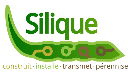 Silique