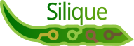 Silique