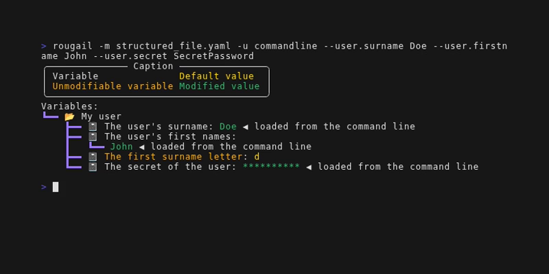 Load command line value